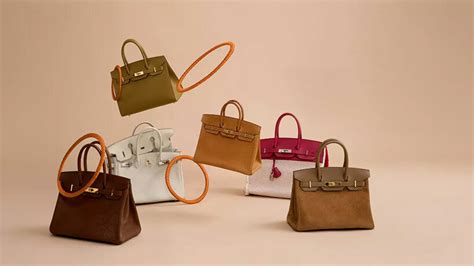 birkin hermes pitone|hermes birkins collection.